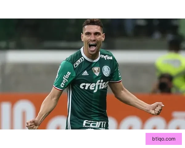 TNT预测巴甲夺冠概率帕尔梅拉斯69%大幅领先弗拉门戈模型